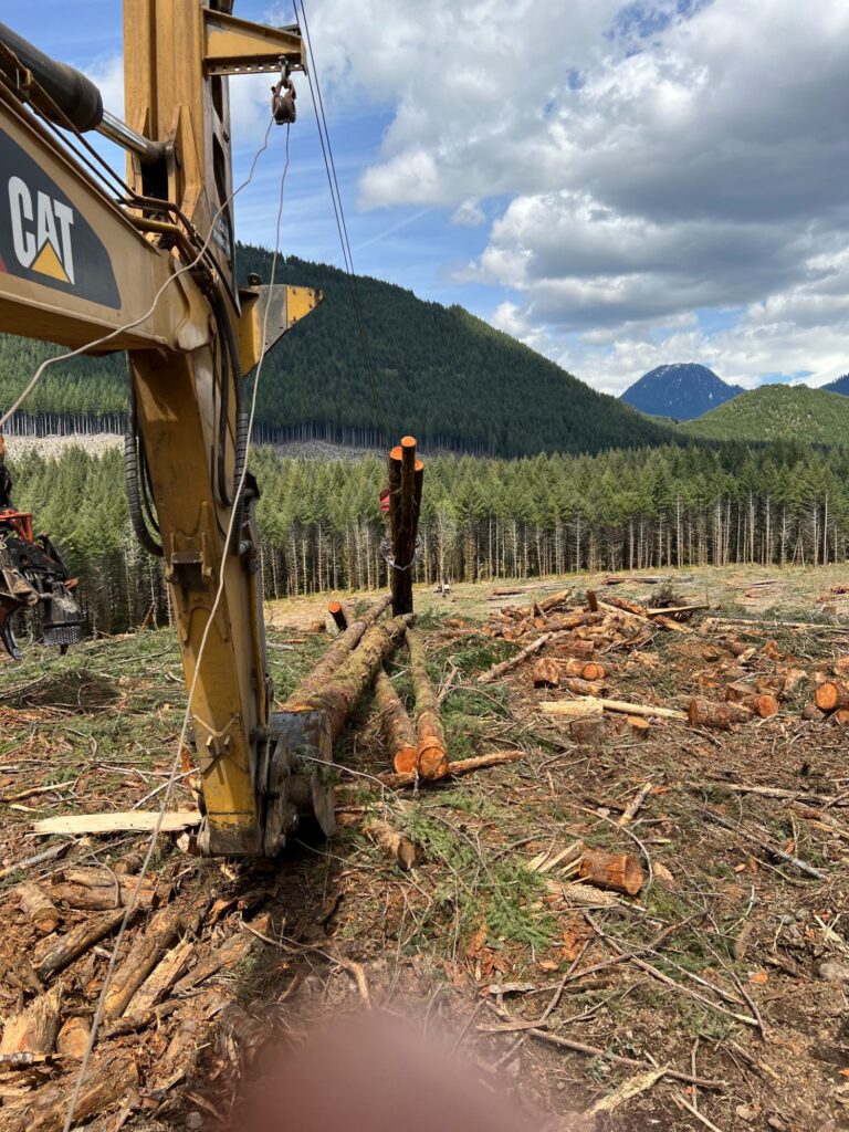 Harvestline - Technical Forest Solutions